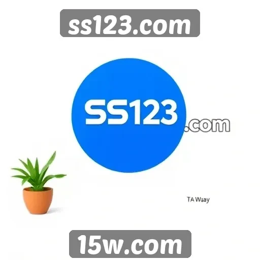 Avaliação das principais características de ss123.com